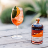 Coastal Spritz Serve
